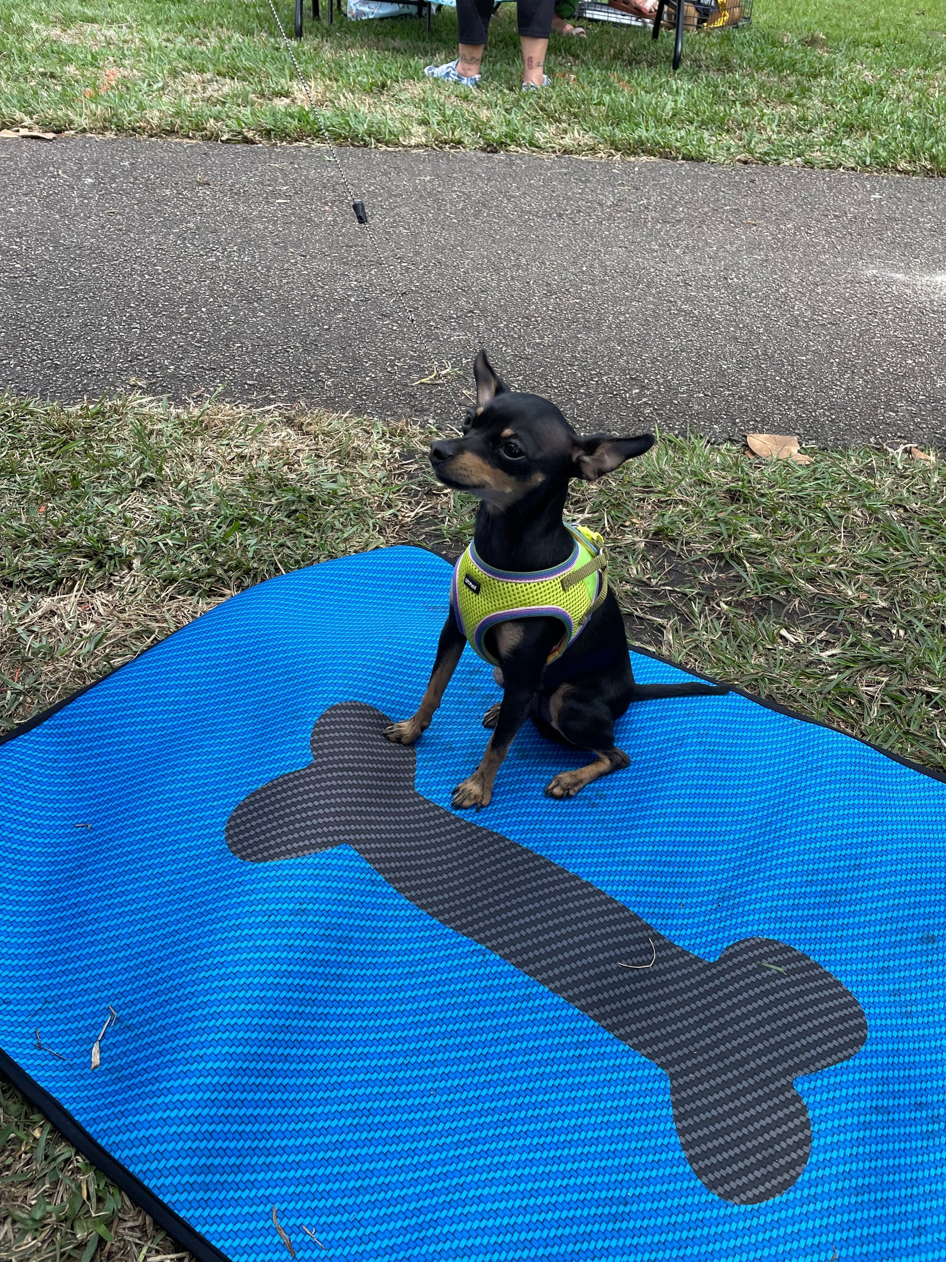 Travel Mat- Blue Carbon Bone