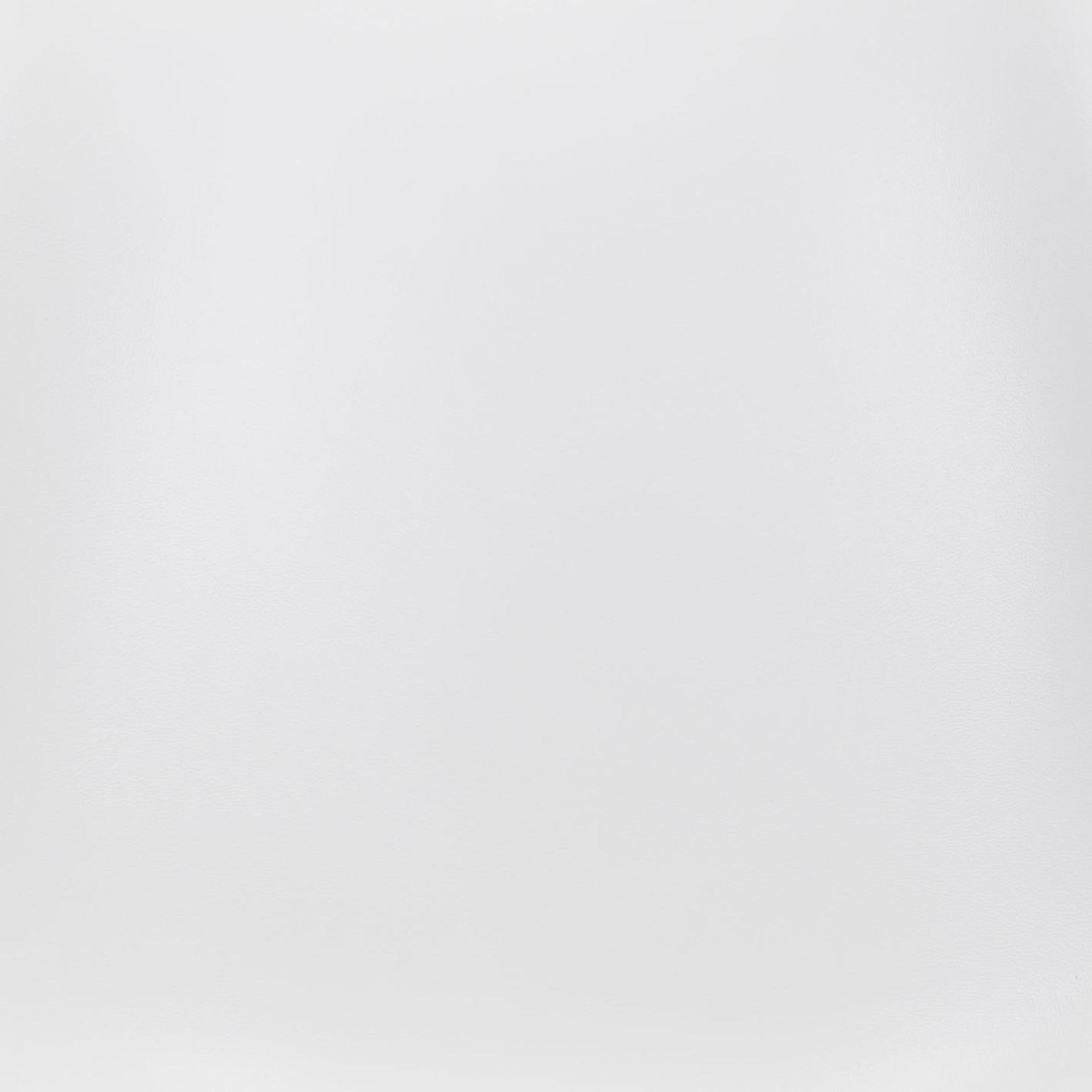 Magnus Dining Chair (Set of 2) White & Silver