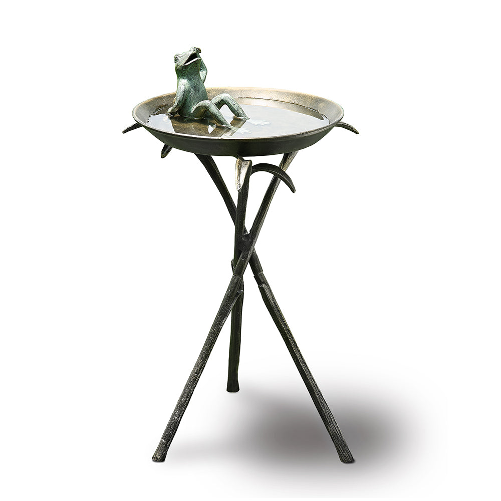 Cool Frog Birdbath