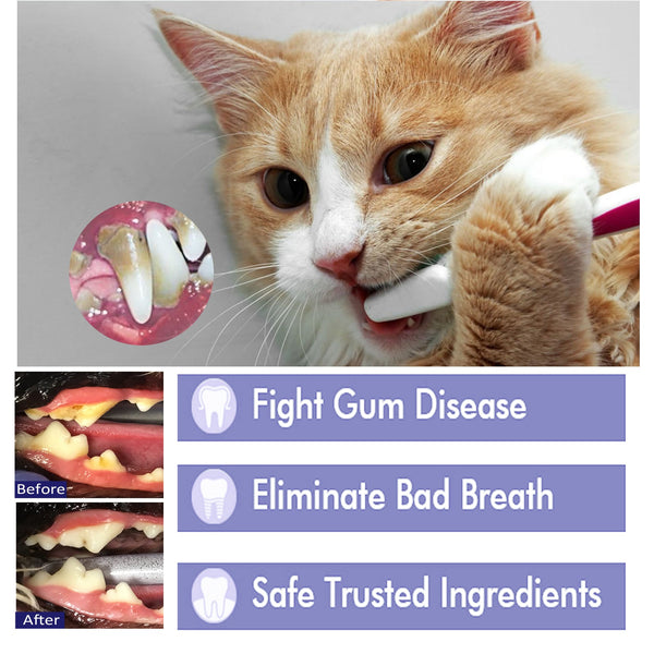 Pet Mouth Cleaning Cream, Cats And Dogs Clean Bad Breath Tartar Stains White Teeth Cream