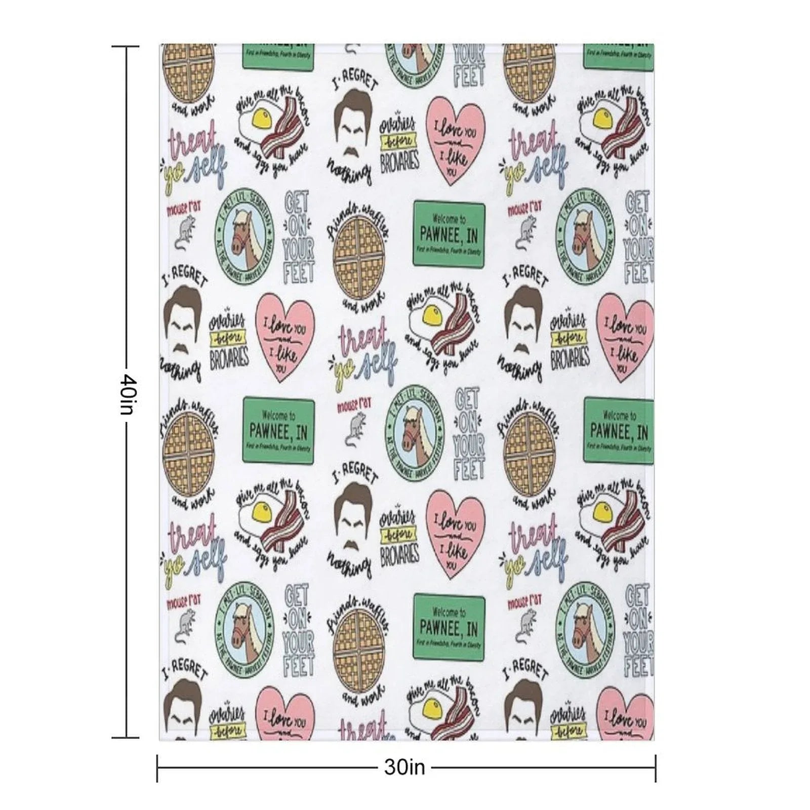 Parks And Recreation TV Show Art Throw Blanket