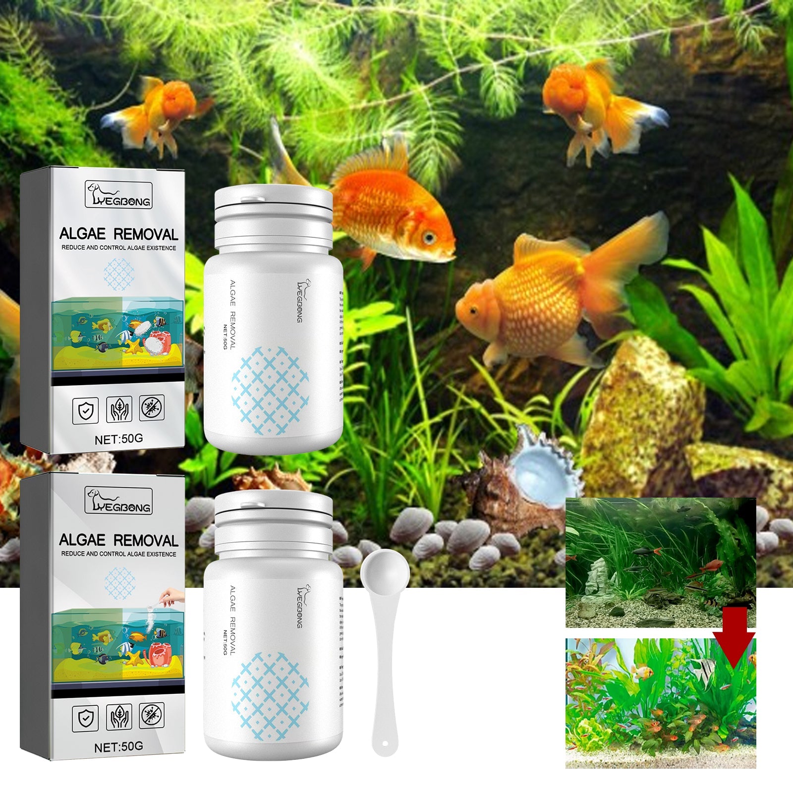 Algae Removal, Aquarium Cleaning Agent Algae Removal Moss Fish Tank Moss Removal Agent Algae Removal From Green Water