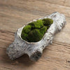 Faux Bois Cement Log Planter - Medium
