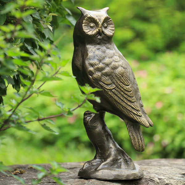 Thoughtful Owl on Branch