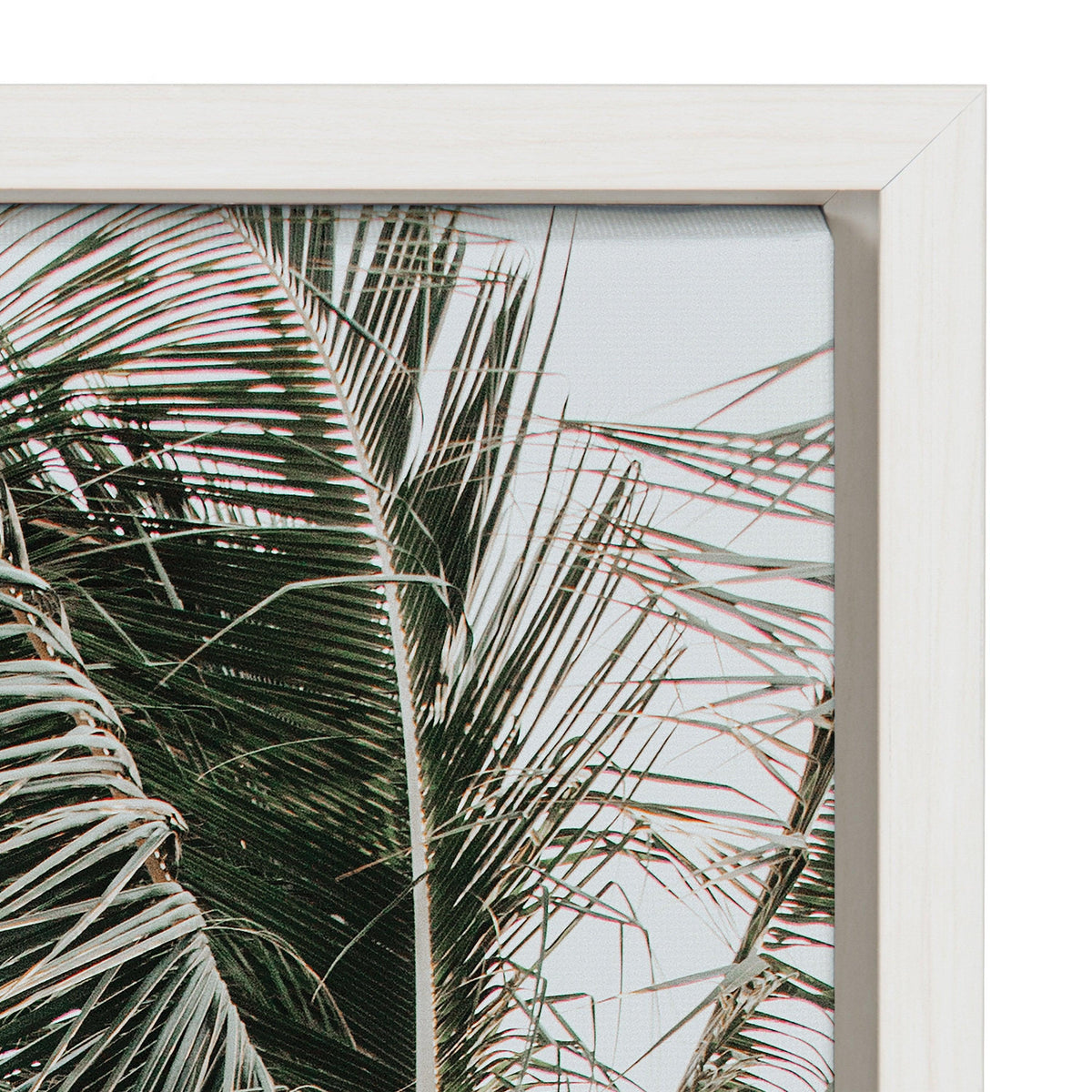 Sylvie Palm Trees Framed Canvas by Alicia Abla