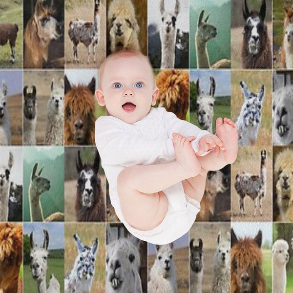 Llamas Photos Collage Shrink-resistant Throw Blanket