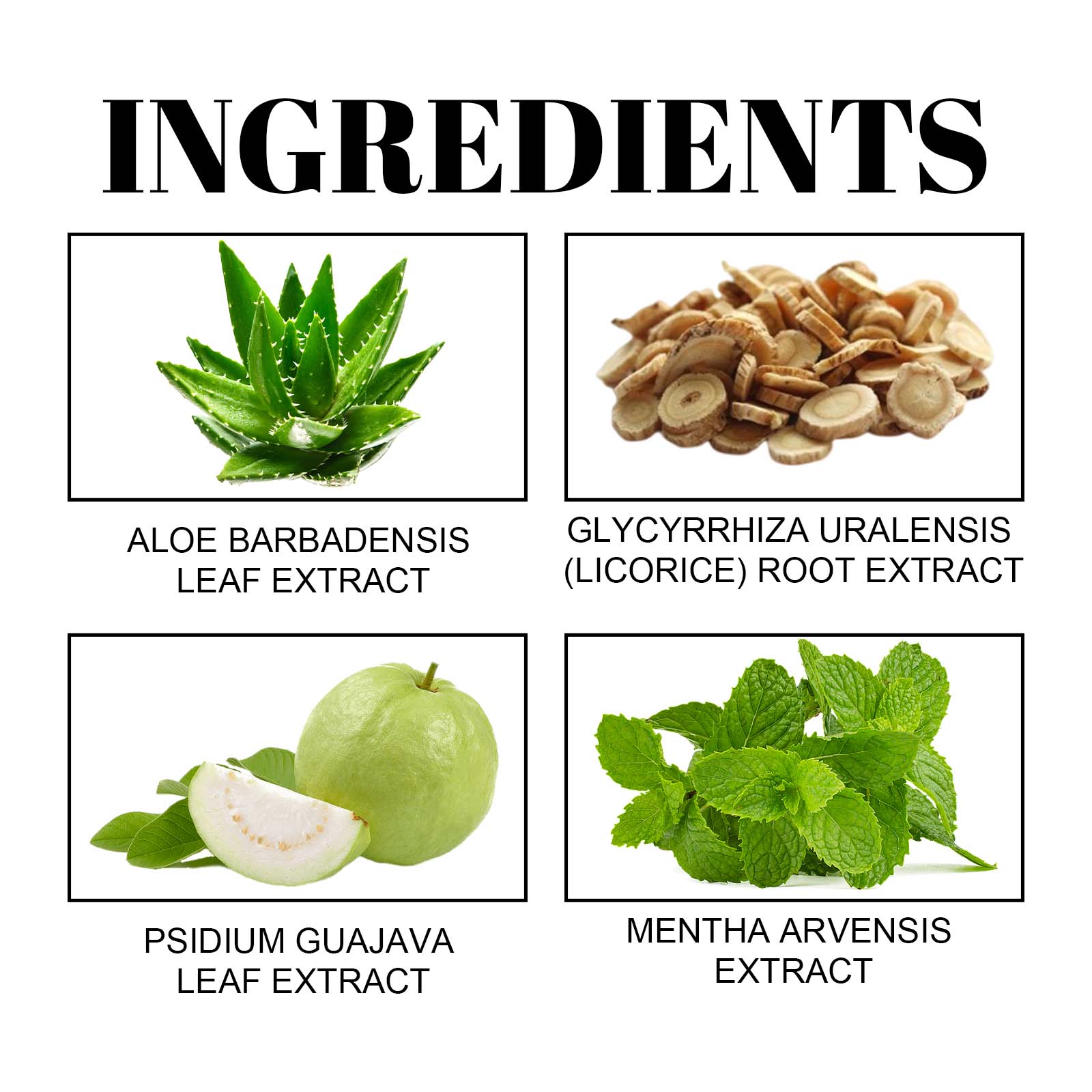 Fresh And Comfortable Toothpaste, Gentle Care For Teeth, Comfortable Mouth, Remove Stains And Odors Portable Mint Toothpaste