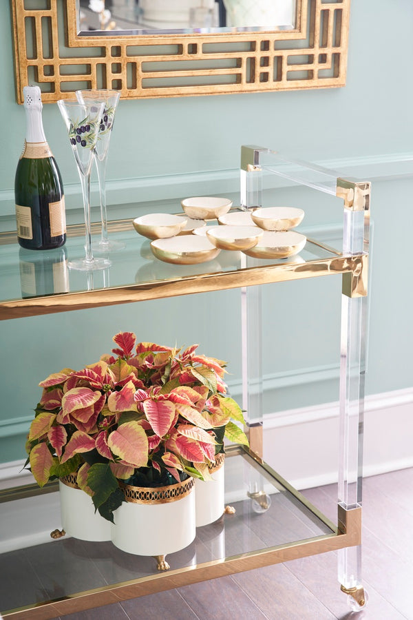 Tracery Cachepot - Cream (Sm)