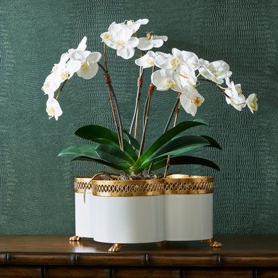 Tracery Cachepot - Cream (Sm)