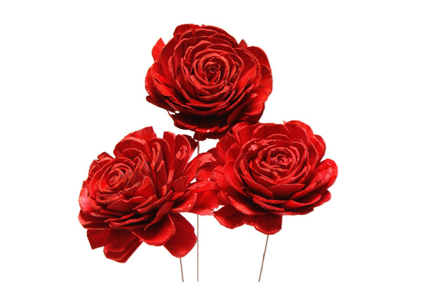 Sola Roses Large
