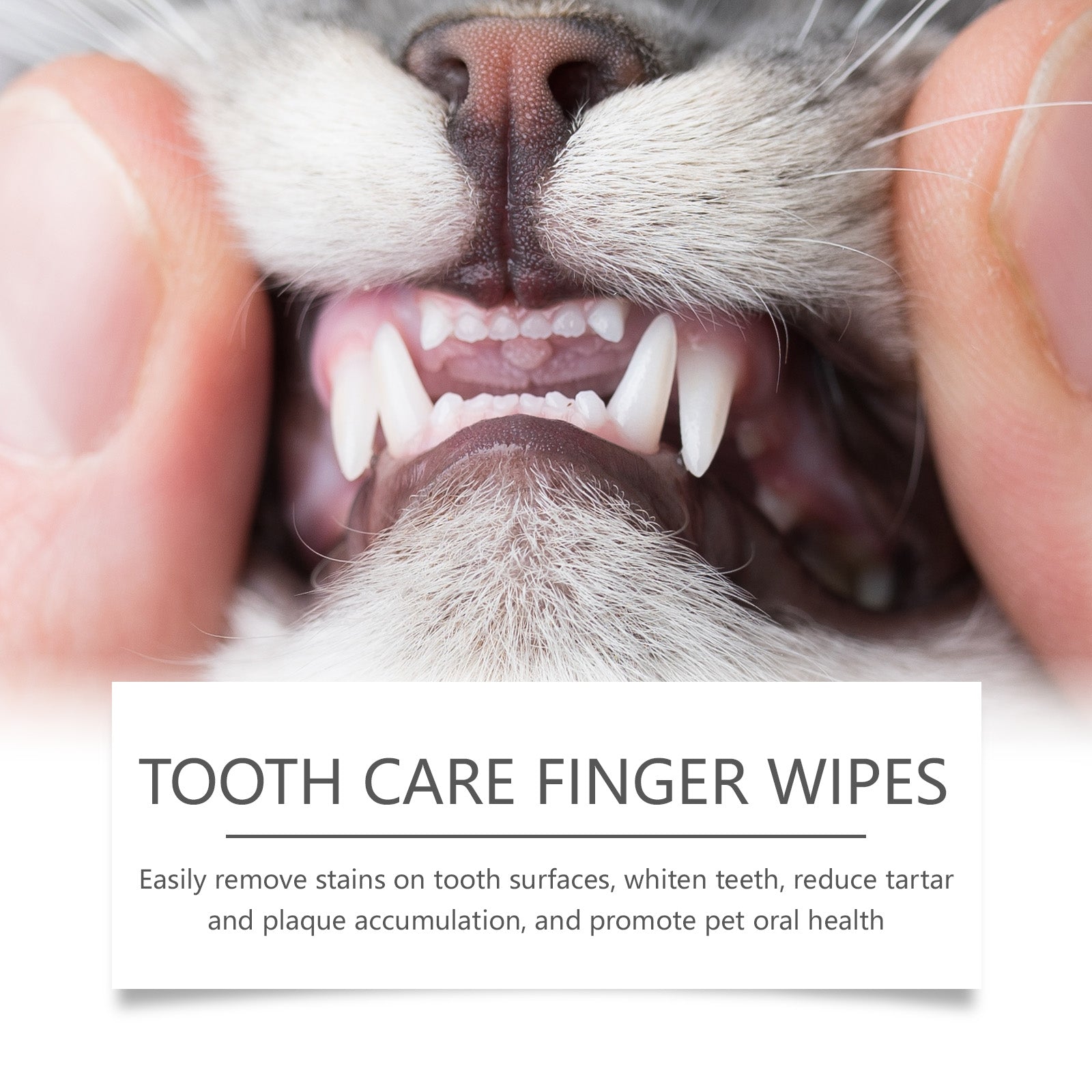 Cat And Dog Tooth Wipes, Pet Tooth Cleaning Tartar Clean Repair Fresh Care Fingercover