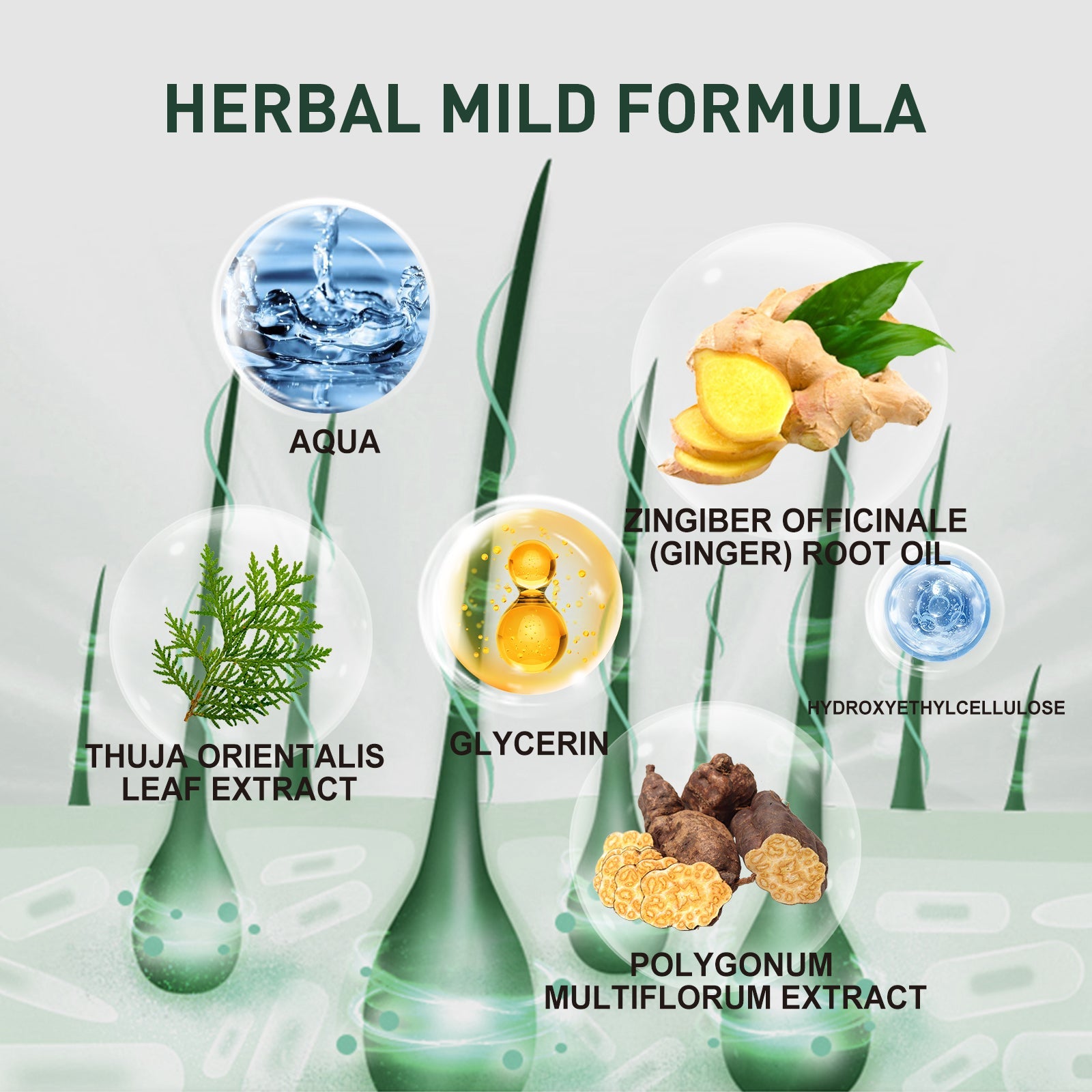 7 Days Essence Gently Moisturizes Hydrating Hairline Scalp Root Nourishing Hair Care Essential Oil