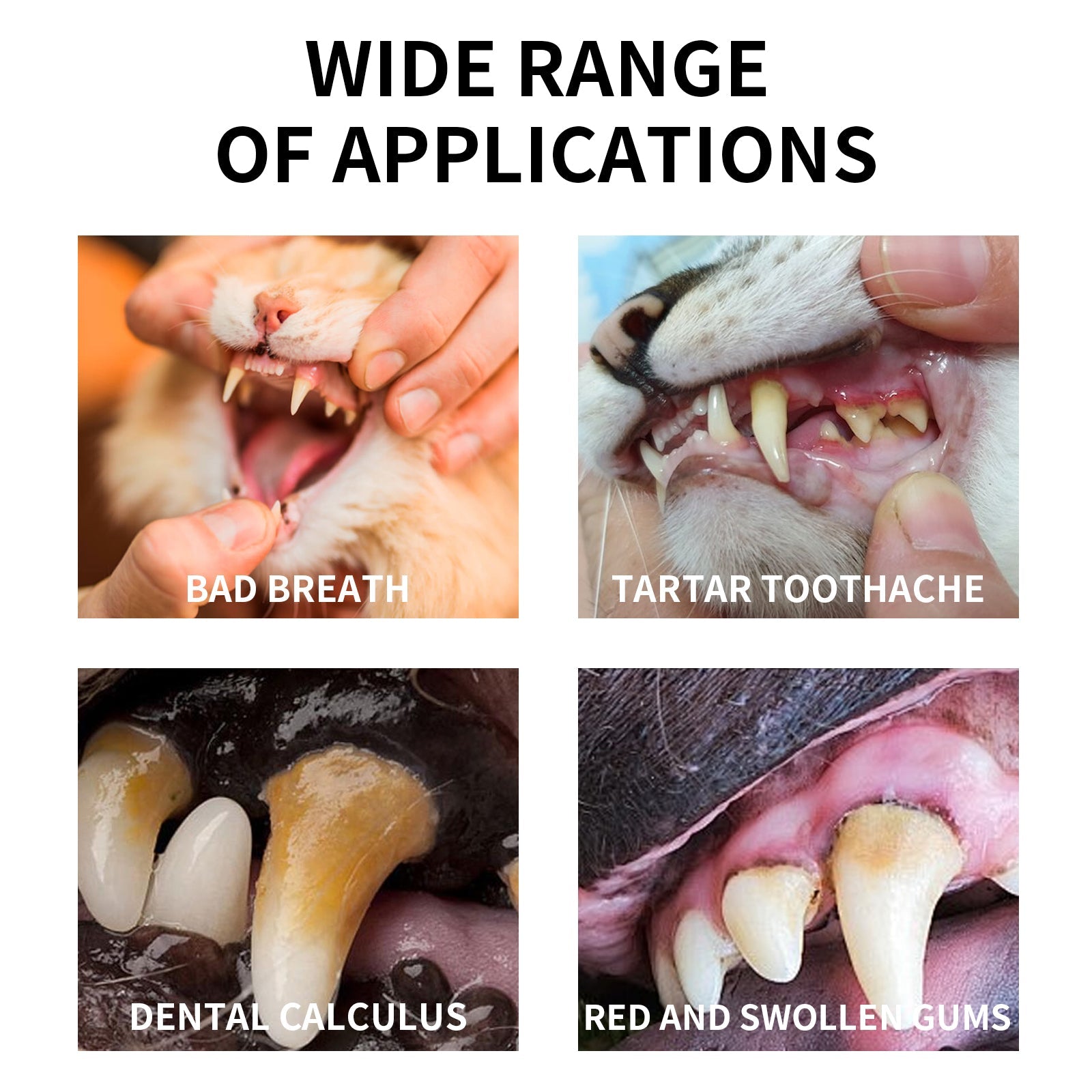 Pet Mint Fresh Breath Spray, Clean Your Dog's Bad Breath Fresh Breath Care