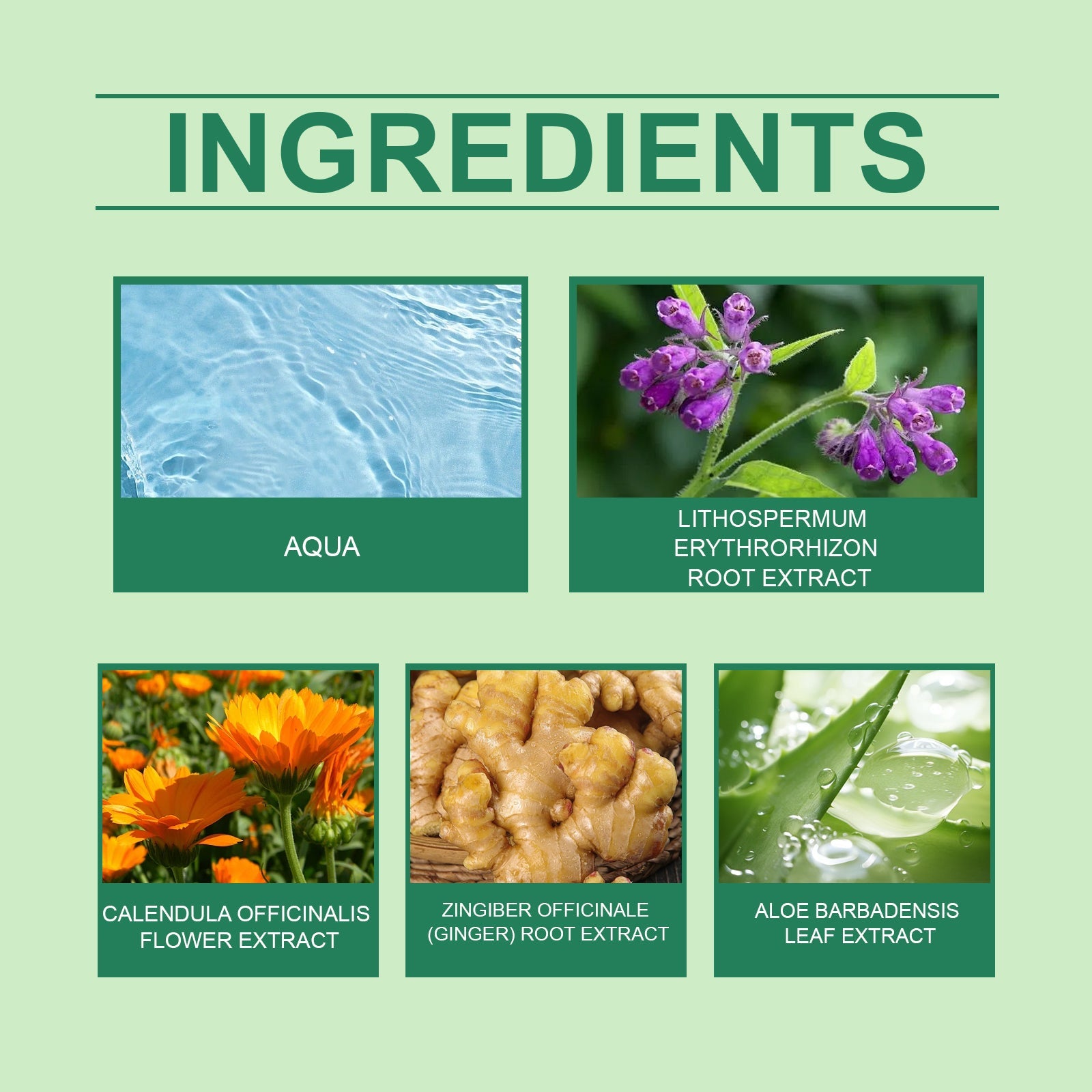 Herbal Joint Cream Joint Muscle Massage Cream Nourishing Skin Care Cream For Neck And Back