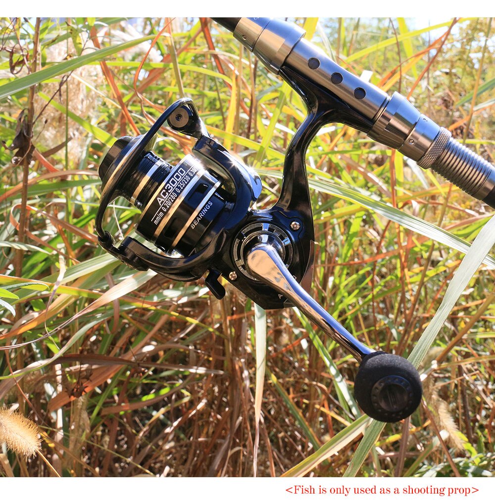 New 13+1BB Fishing Spinning Reel 2000-6000 No Gap Metal Spool Gear Ratio 5.2:1  Reel Carp Fishing Gear Pesca