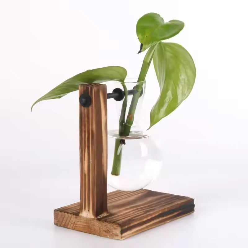 Transparent Bulb Vase with Wood Stand. For hydroponics. Great for coffee shops & room decor.