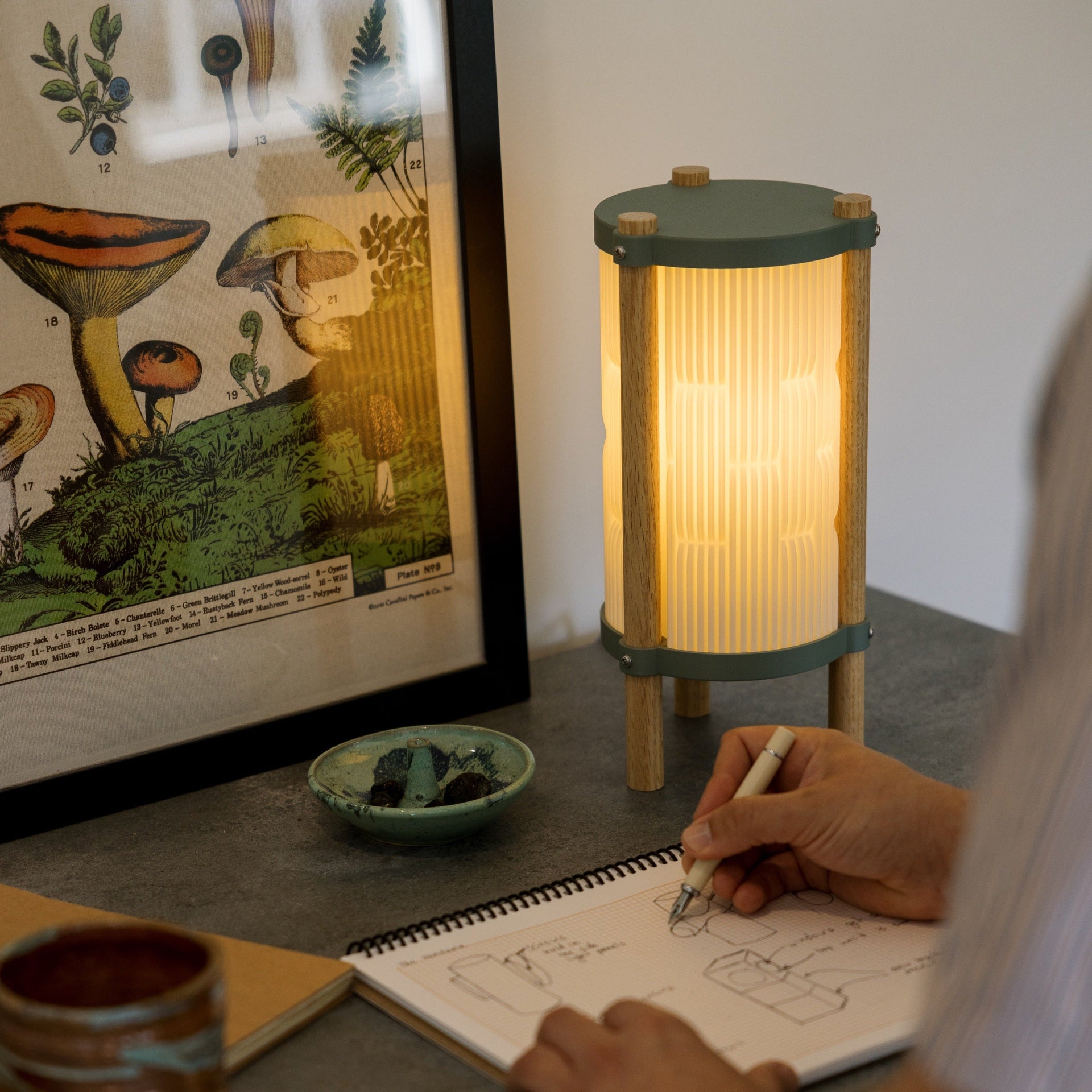 Toro Table Lamp Terra Labs