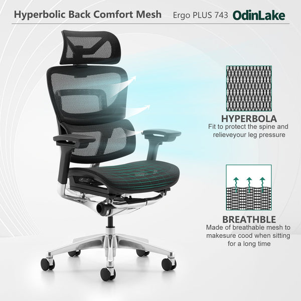 OdinLake O1 (Ergo PLUS 743) | Flex Mesh Ergonomic Chair