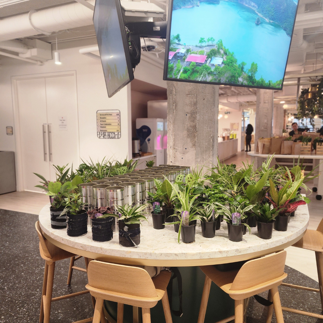 Plant Bar Plantita & Co. Bloom Bar & Studio