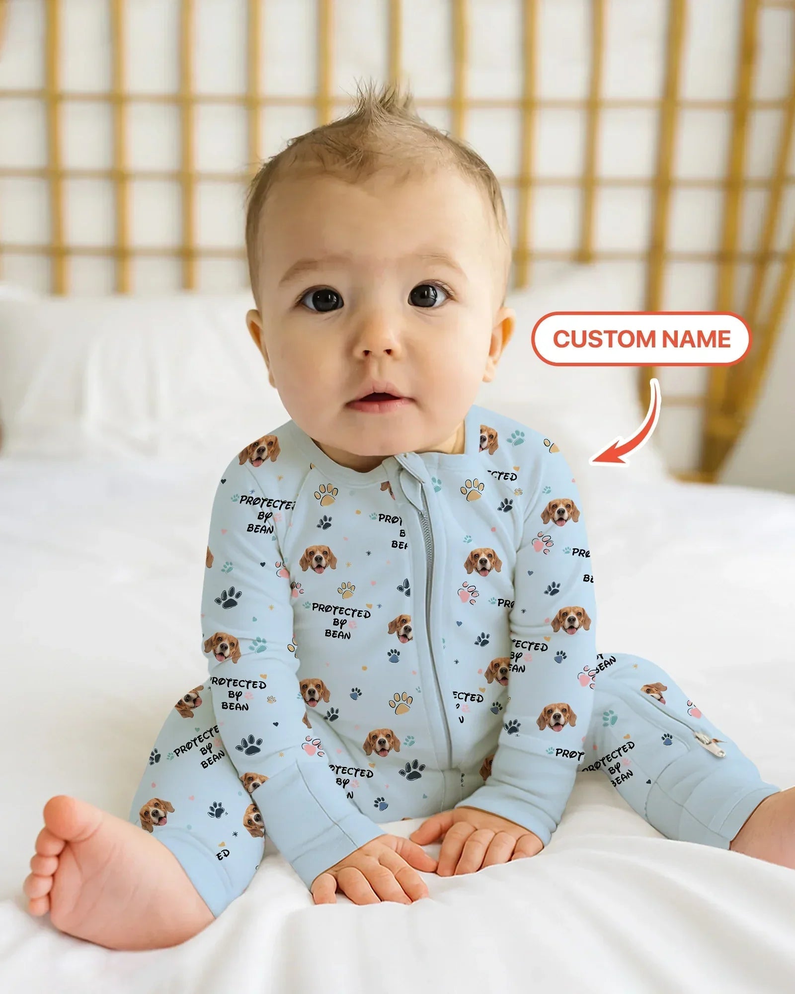 Custom Dogs Photo 