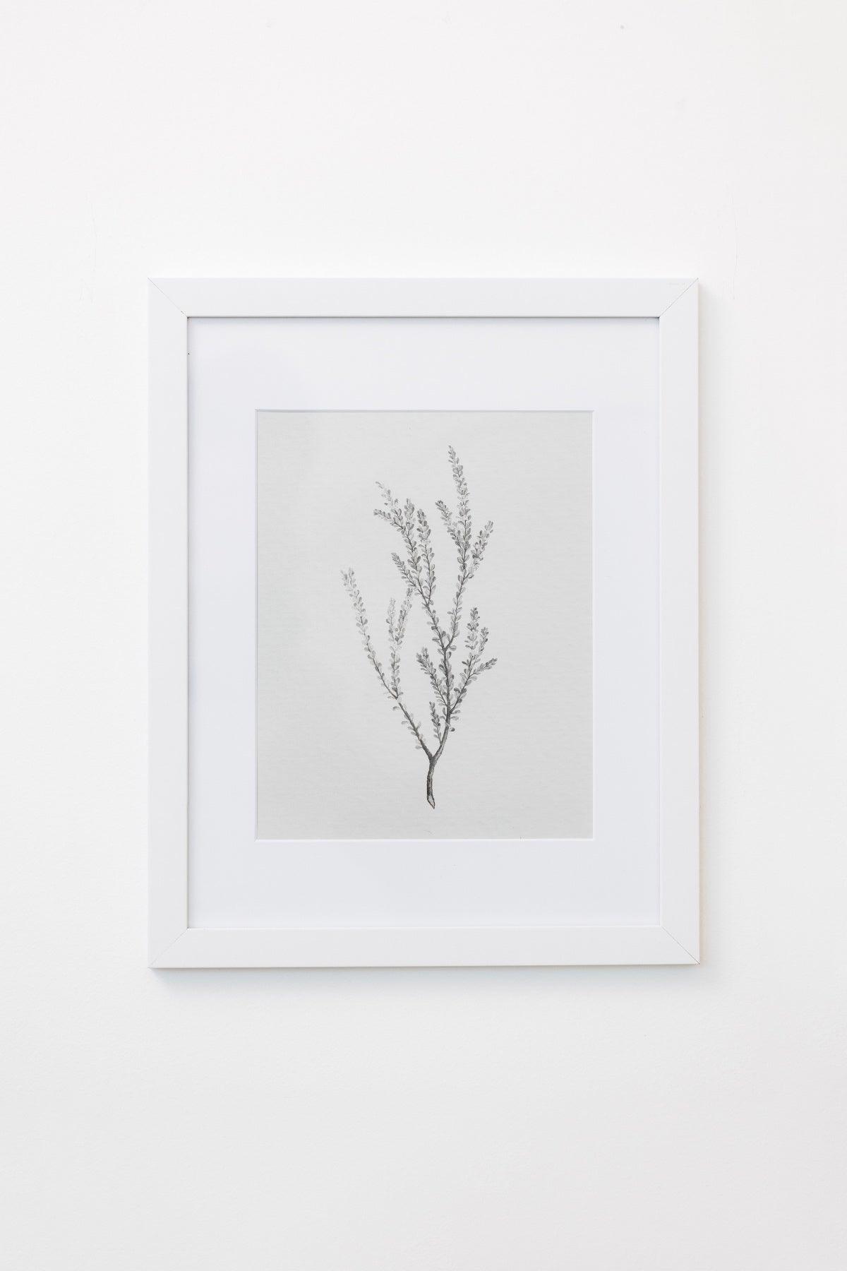 Enid Wall Art