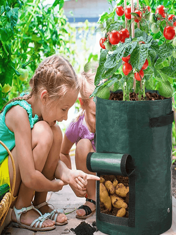 5 PCS Vegetable Grow Bag Planting Bags