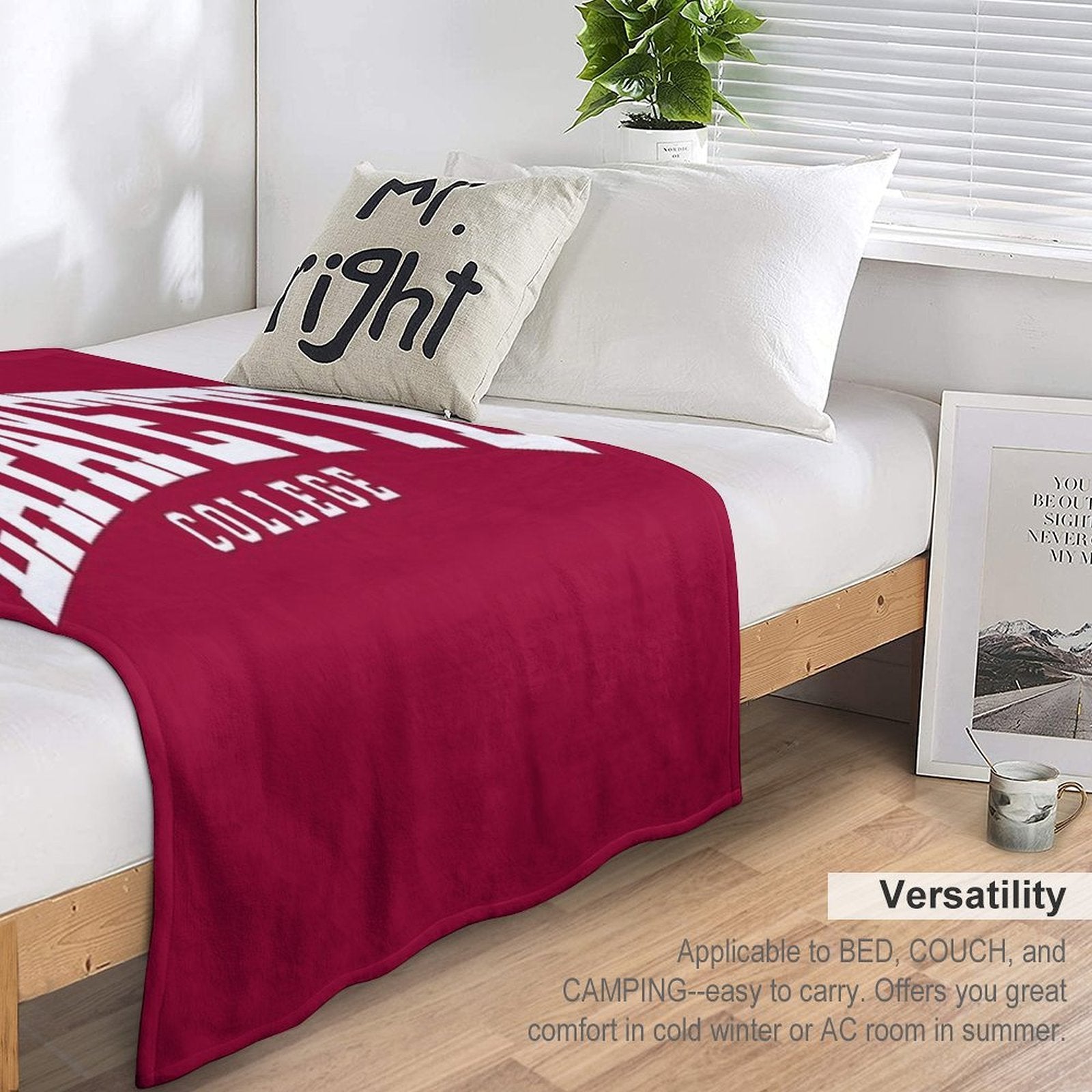 Lafayette - College Font Curved Machine-washable Throw Blanket