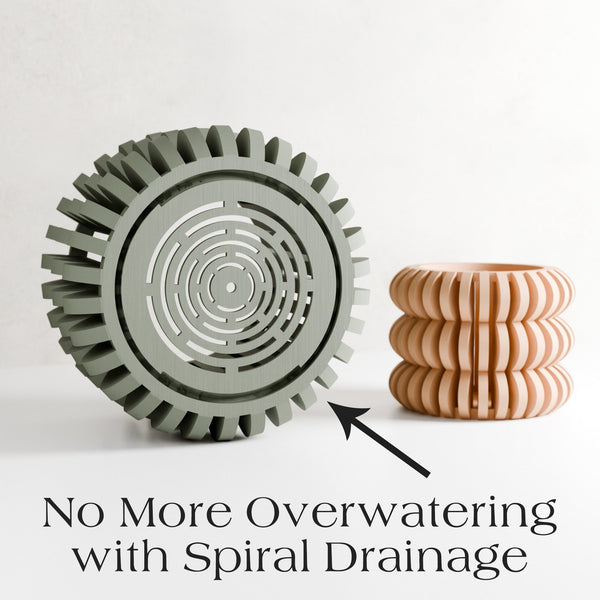 Triple Bubble Orchid Planter