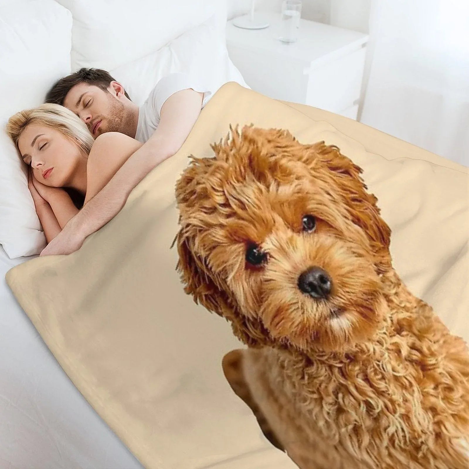 Cavapoo Throw Blanket