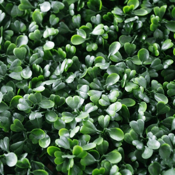 Dark Boxwood Artificial Vertical Garden Green Wall Panel 40×40in 11 SQ FT – UV Resistant – Commercial Grade