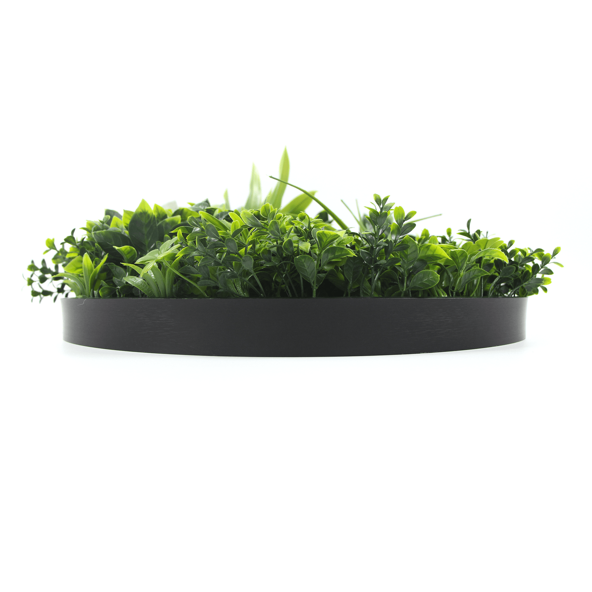 Artificial Green Wall Disc 30in – Black Frame – UV Resistant – Commercial Grade