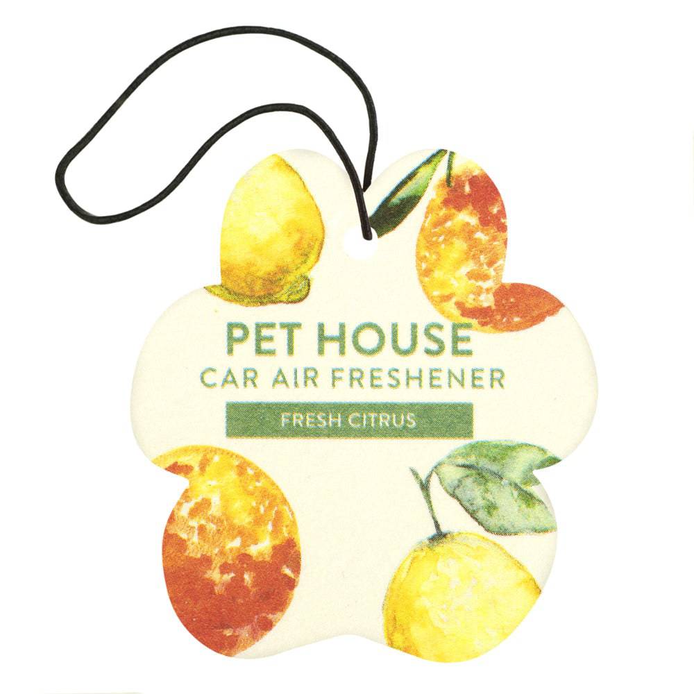 Car Air Freshener Variety Pack