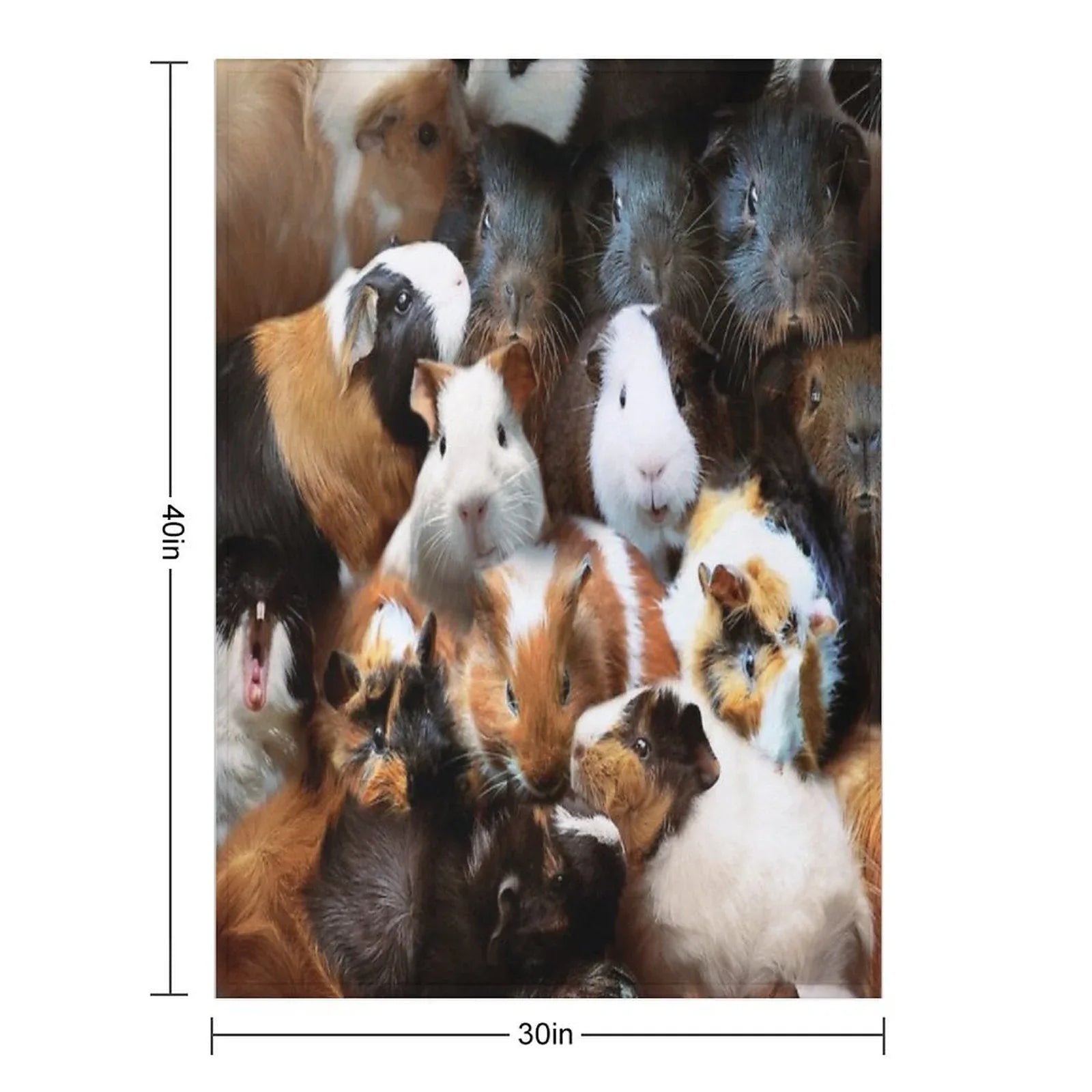 Guinea Pigs Throw Blanket