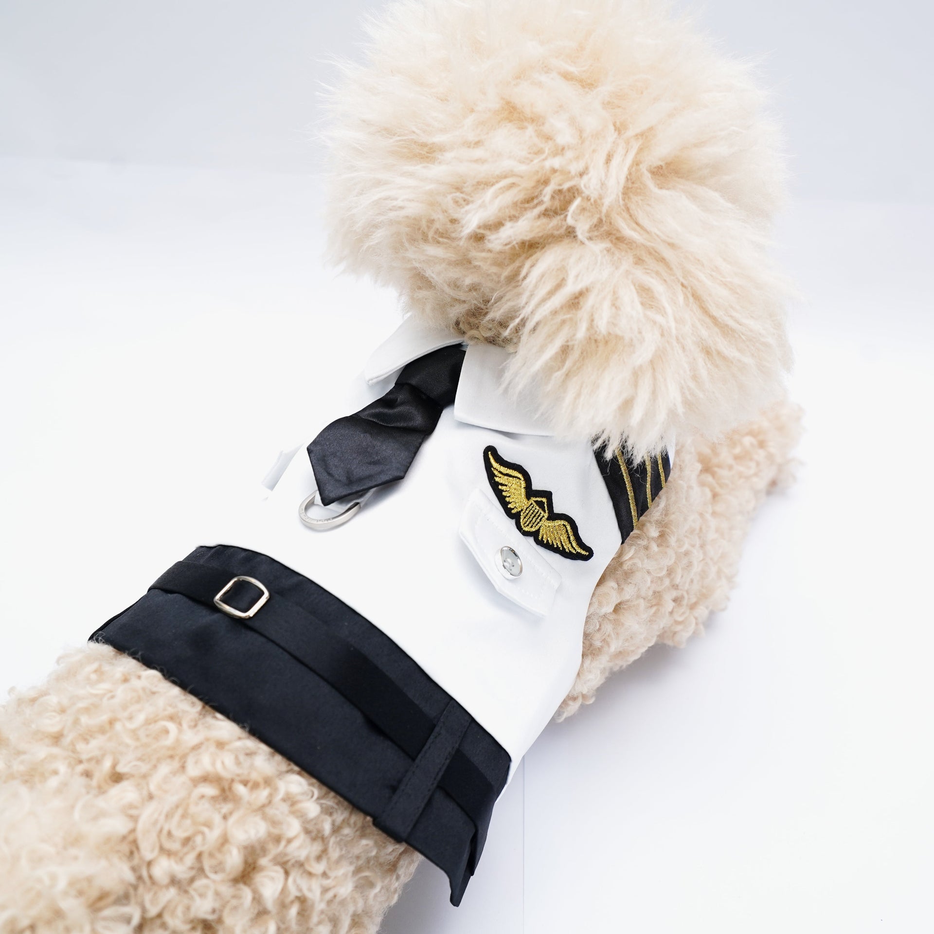 Coolmore | Pet Harness Vest Momoji Canada