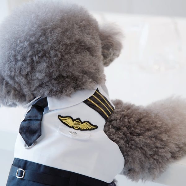 Coolmore | Pet Harness Vest Momoji Canada