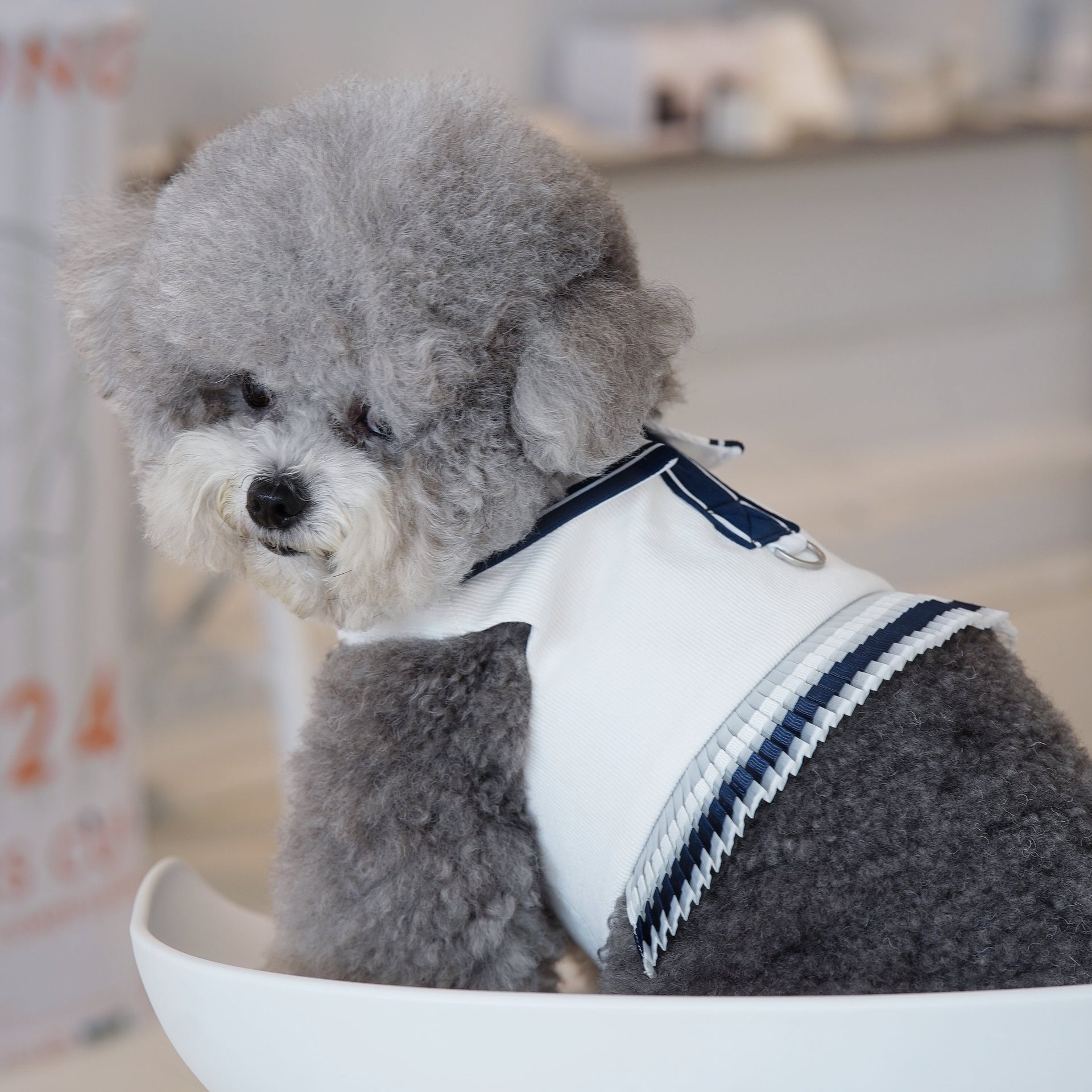 Sharapawva | Pet Harness Vest Momoji Canada