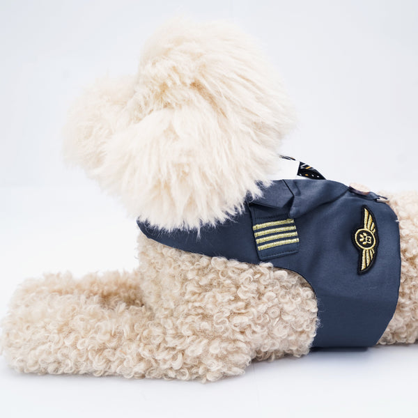Coolmore II | Pet Harness Vest Momoji Canada