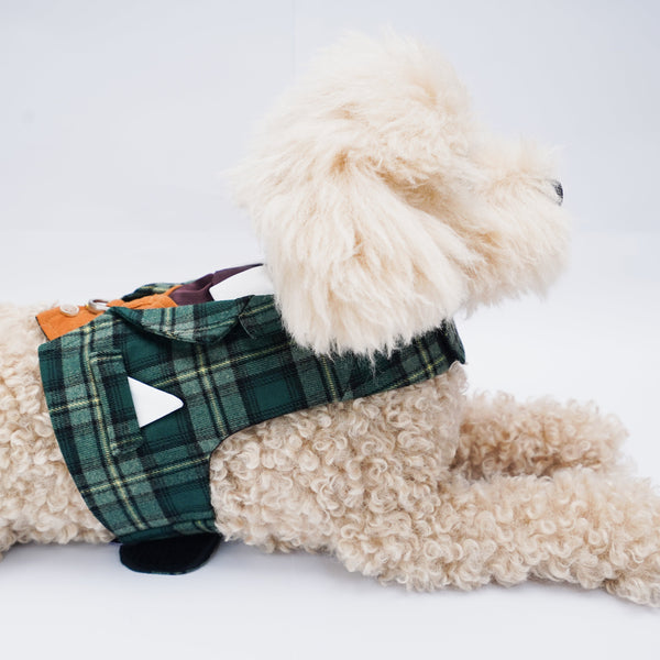Phillip | Pet Harness Vest Momoji Canada