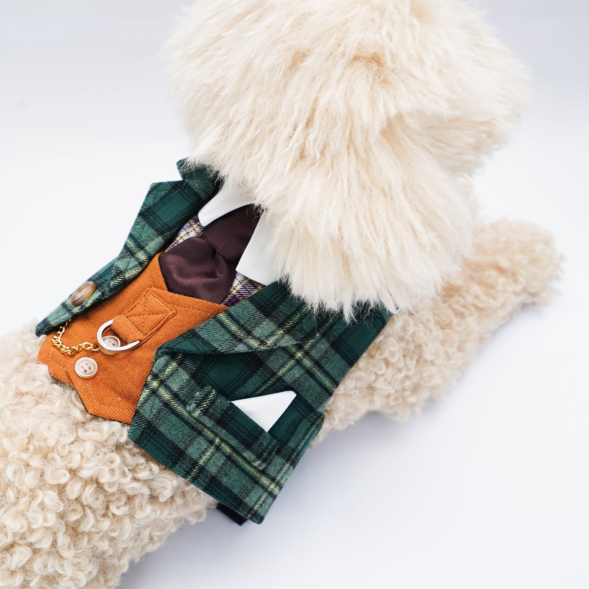 Phillip | Pet Harness Vest Momoji Canada