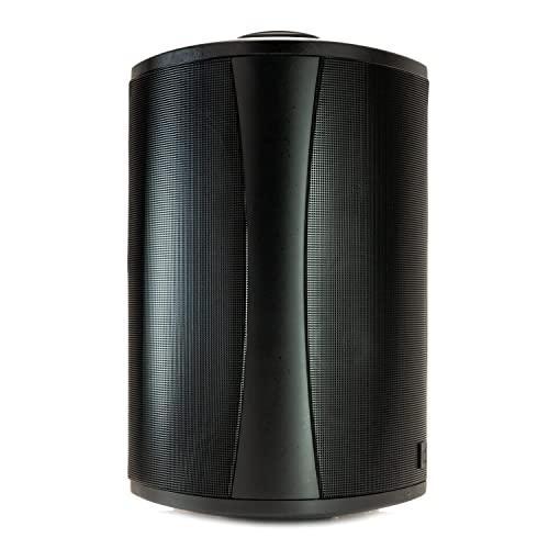 Definitive Technology Outdoor Speaker - 200 Watts, 6.5-inch Woofer, Weather Proof - Gifts for You 'n Me