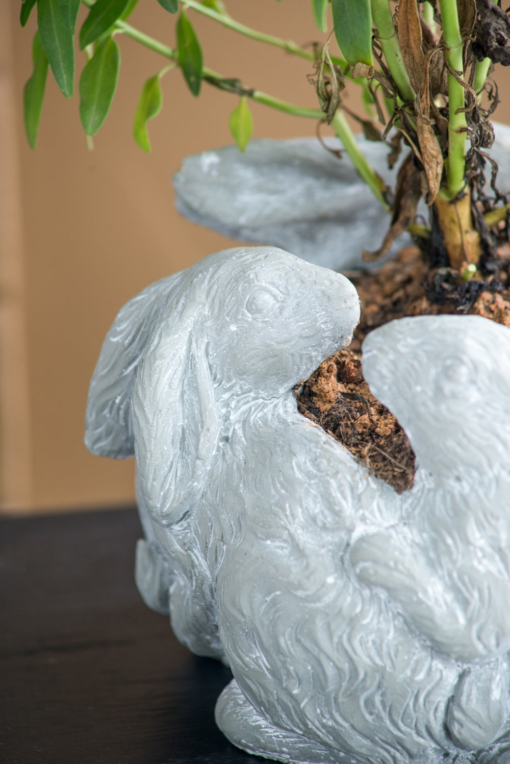 10x8x6.5' 5 Bunny Cement Planter