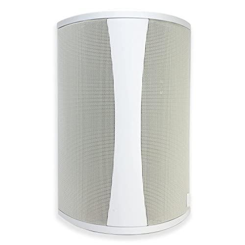 Definitive Technology Outdoor Speaker - 200 Watts, 6.5-inch Woofer, Weather Proof - Gifts for You 'n Me