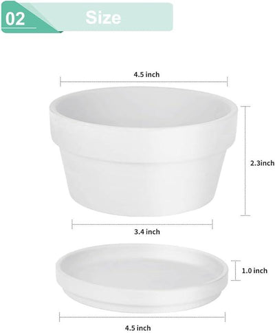 vensovo 4.5 Inch White Terracotta Shallow Succulent Pots - 6 Pack Terra Cotta Clay Pot with Saucer, Cacuts Indoor and Outdoor Planters with Drainage Hole