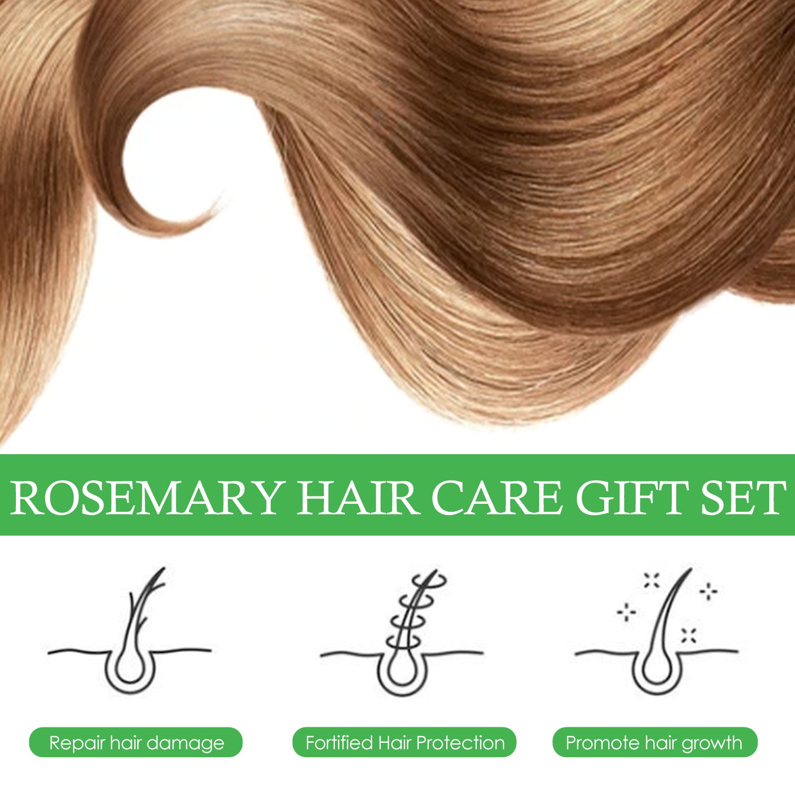 Rosemary Hair Care Nourish Hair Soft Fluffy Strong Moisturizing Root Hair Care Gift Set