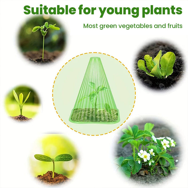 30 Reusable Square Planting Tents. Protect plants from birds, frost & snails.