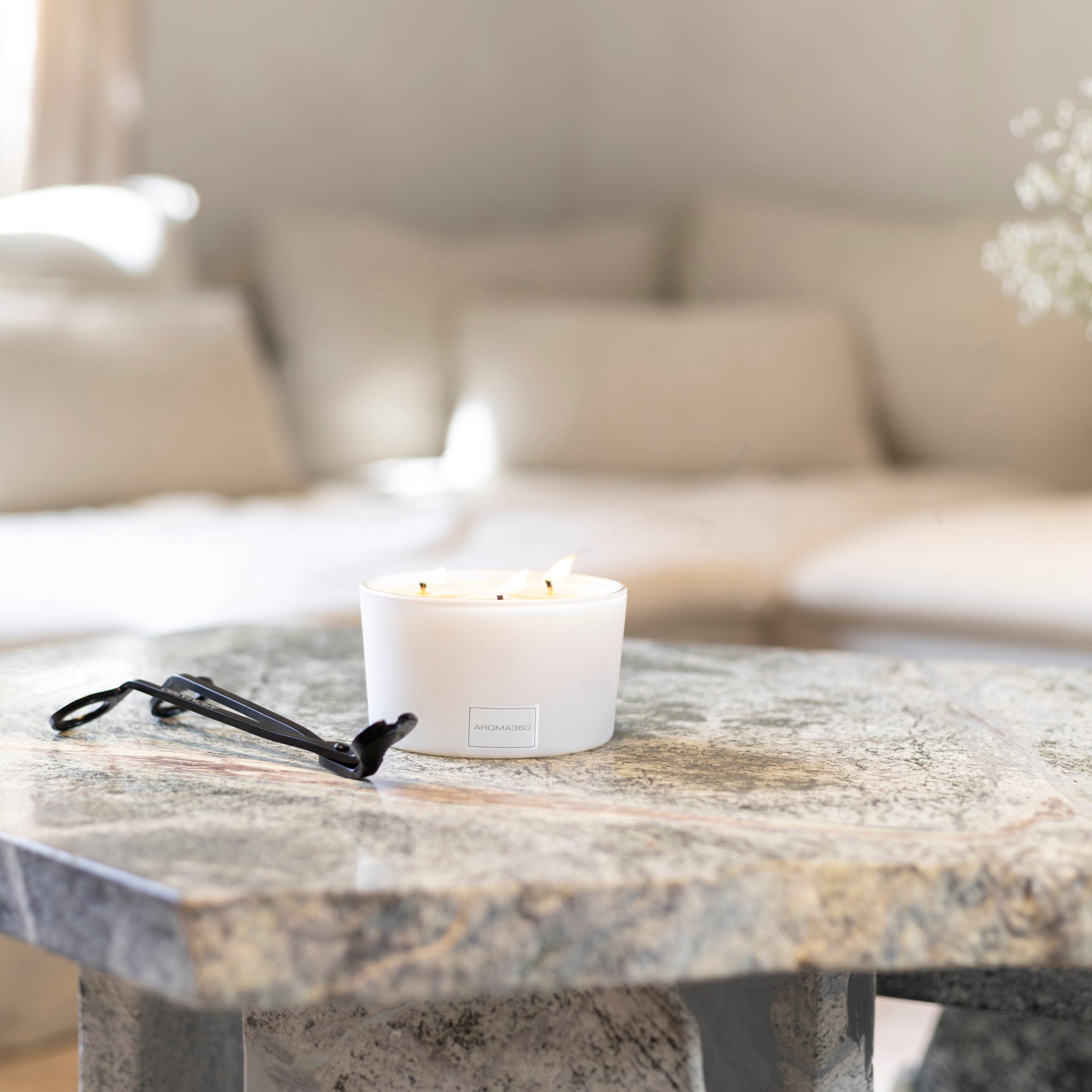 Iris 3-Wick Candle