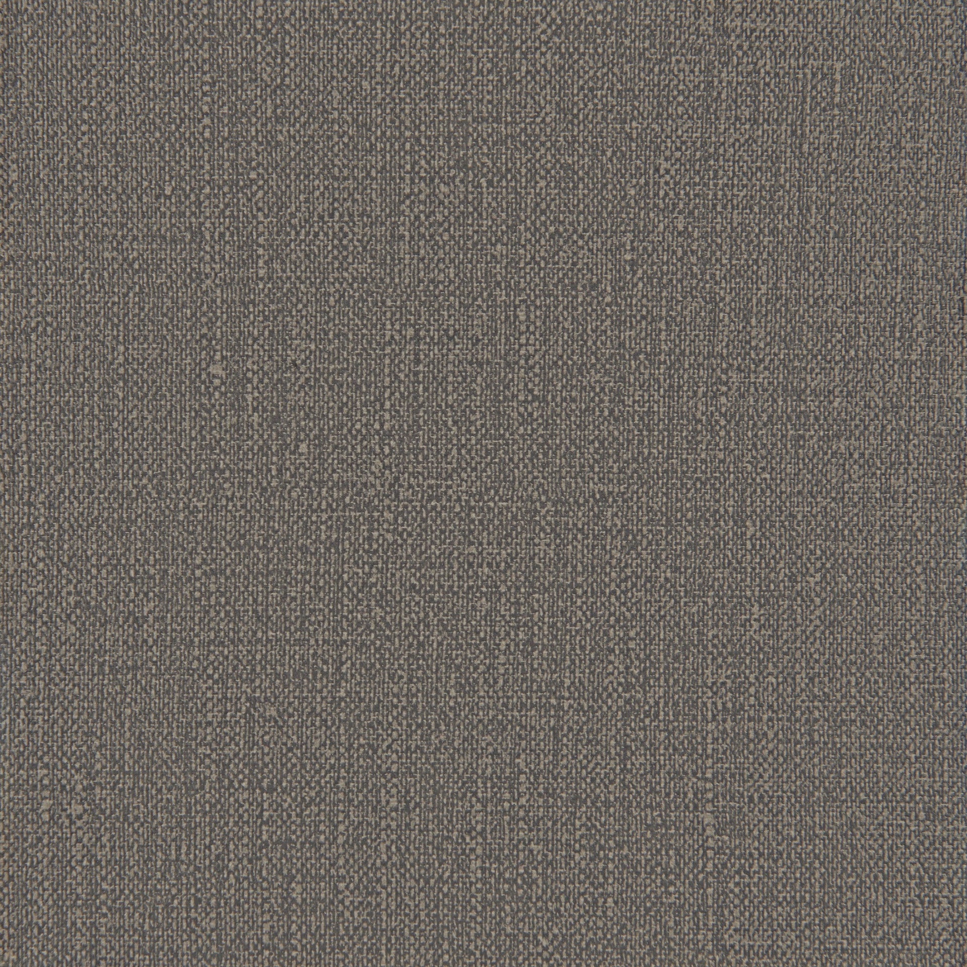 Wisom Dining Chair (Set of 2) Gray