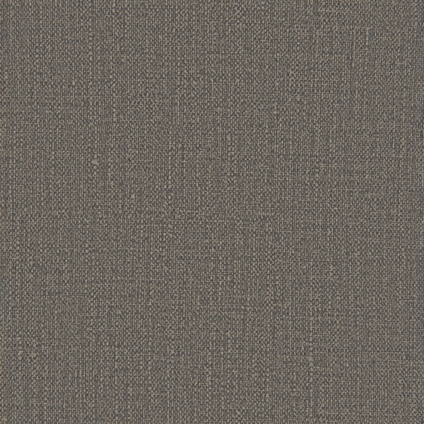 Wisom Dining Chair (Set of 2) Gray