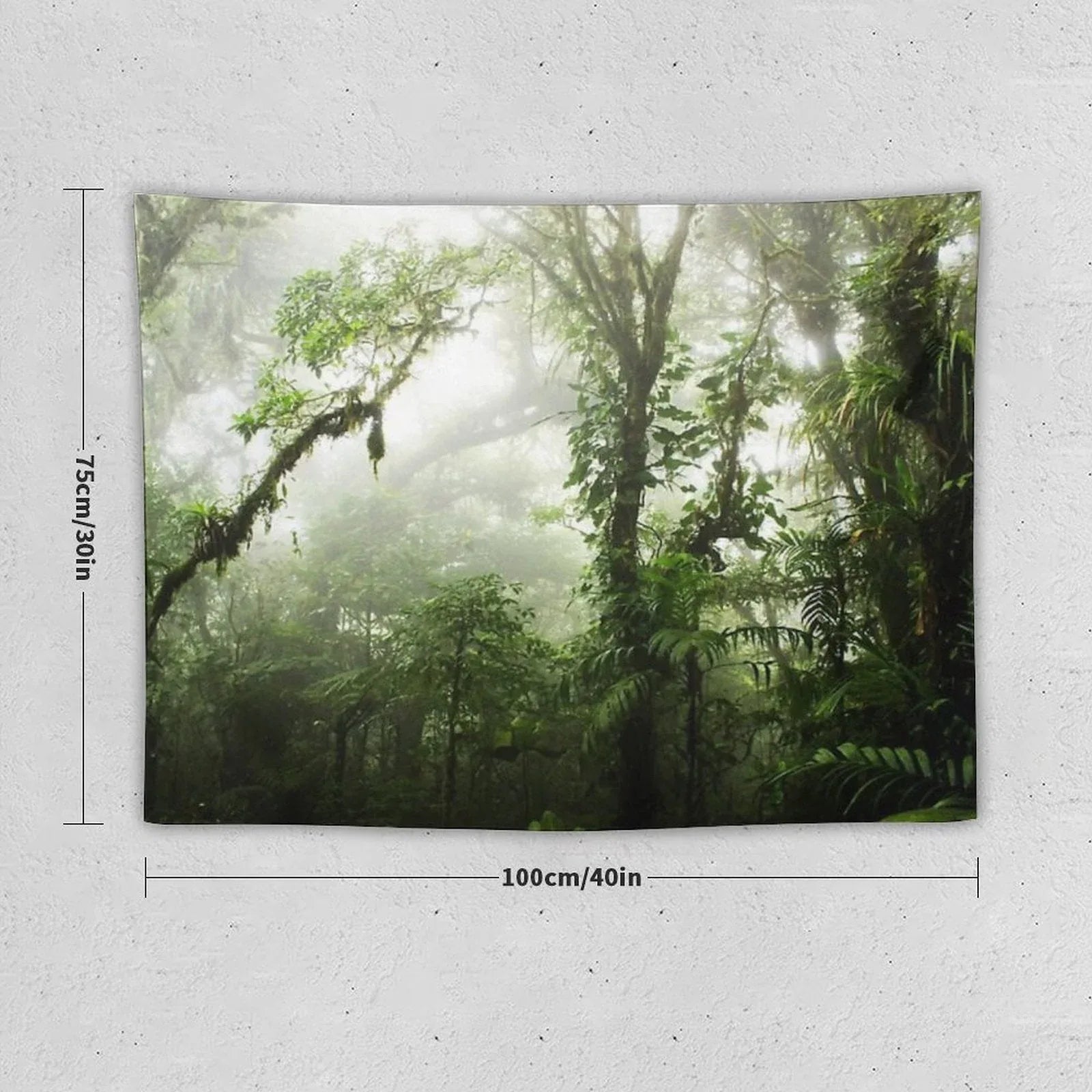 Cloud Forest Tapestry
