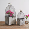 Set of Two Victorian Wire Cloches Planter